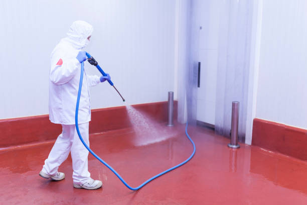 Boat and Dock Cleaning in Inverness, CA